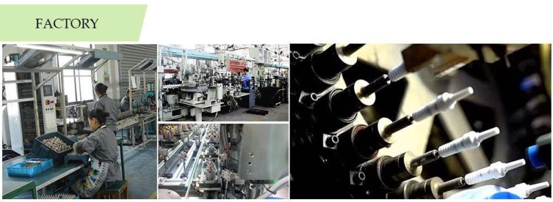Original quality Auto Engine Systems Spare Parts engine Double Iridium Spark Plug For mechanical