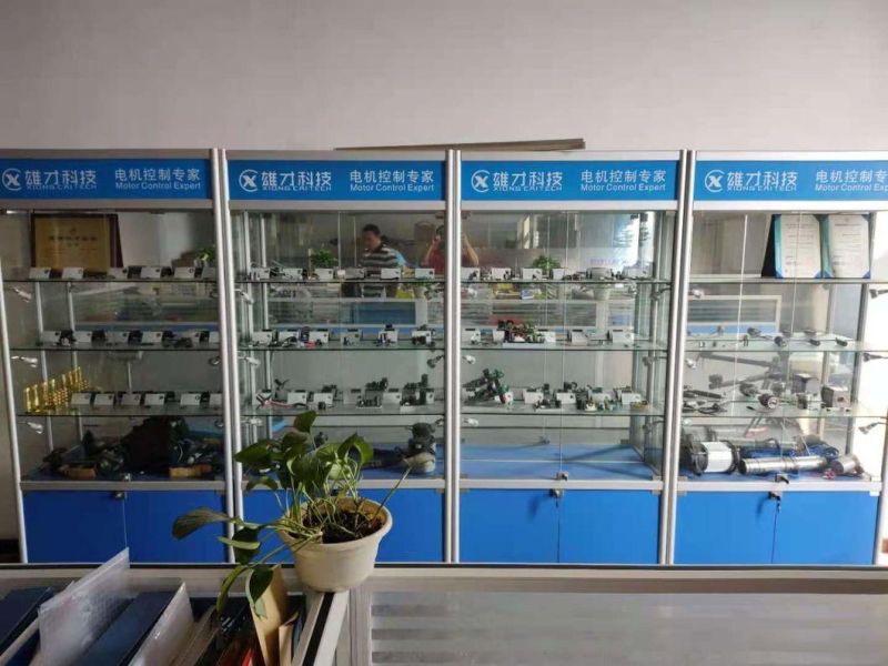 20A 24V 480W BLDC Motor Controller for Vehicle Air Conditioning Evaporator Blower, Axial Fan, Cooling Fan, HVAC System, AC System, Heat Dissipation, Ect.