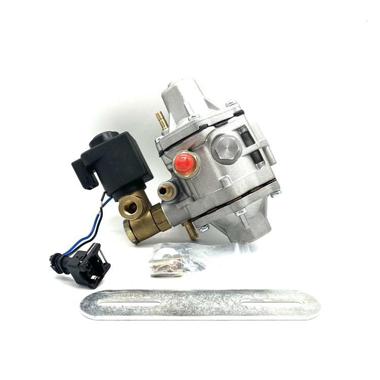 at 12 Medium Pressure Reducer Kit De Conversion a Gnv Gas Equipment for Auto Gnv Pressure Reducer