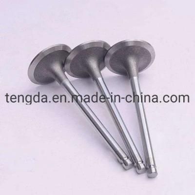 Good Quality Petrol Diesel Intake and Exhaust Engine Valves for Japanese Cars