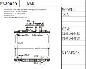 OEM 81061016458 Plastic Tank Aluminium Core Heavy Truck Radiator for Man