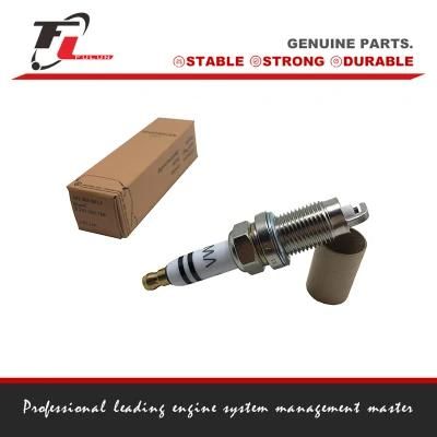 101905601f 0241235769 for Best Quality for Audi Spark Plug