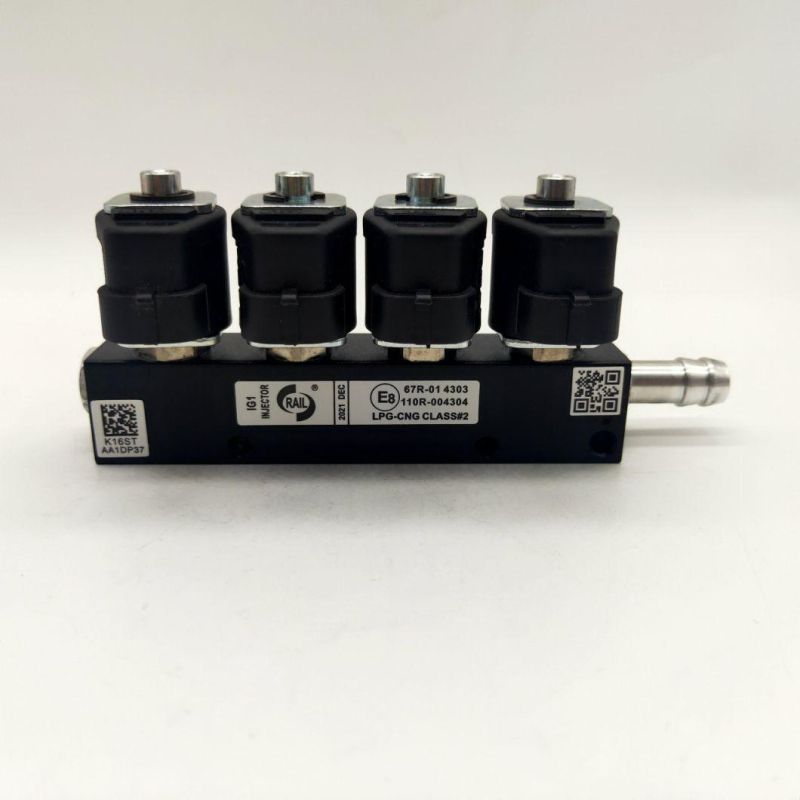 Llano Black LPG CNG Rail Injector Ln-Lig1s for 3 Ohm 4 Cylinder Engine