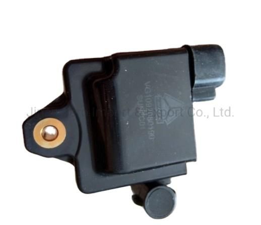 Sinotruk HOWO Heavy Truck Spare Parts Engine Parts Engine Ignition Coil Vg1092080190