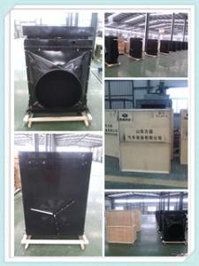 Truck Spare Parts, Truck Radiator for Daf Truck