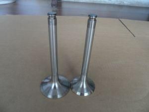 DFAC Yuejin Foton JAC Jmc Ollin Isuzu Truck Intake Valve