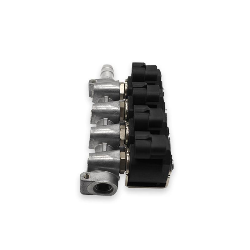 Ig1 Type 4-Cylinder 2-Ohm CNG Injector Rail for Autogas Kits