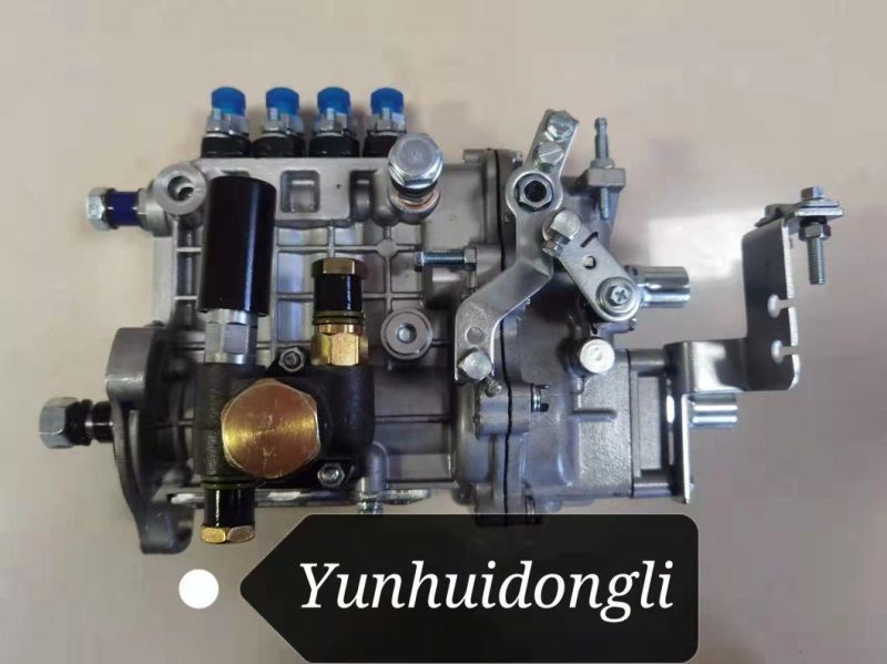 Bh4qt85r9 4qt303 Fuel Pump for Quanchai