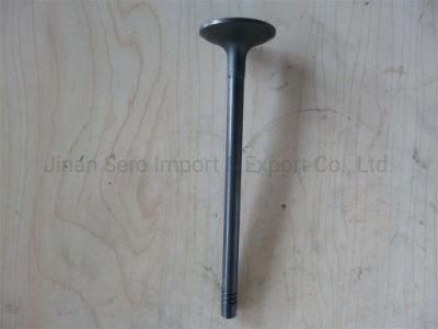 Sino Truck Parts Vg1092050014 Engine Exhaust Valve Spare Parts for Sale