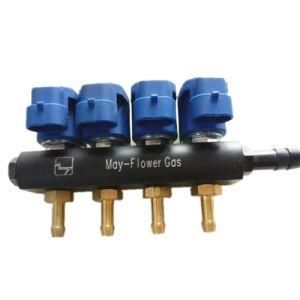 Gas Fuel Rail Injector for CNG