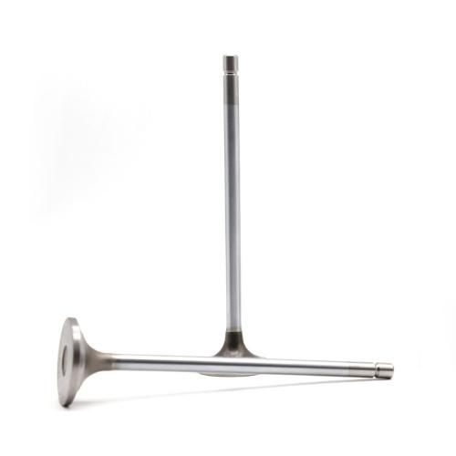 Tractor Parts Engine Intake Exhaust Valve R520223 for John Deere