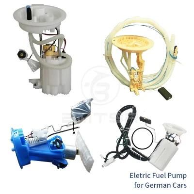 Bmtsr Guangzhou Factory Price Fuel Pump for BMW Benz