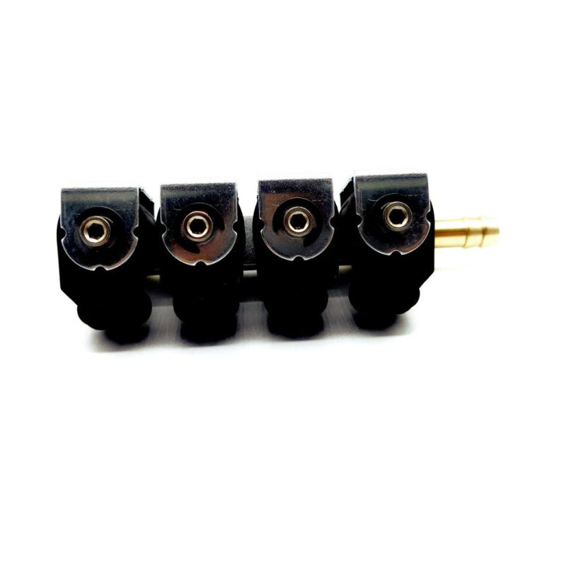 Llano LPG CNG Rail Injector Ln-Acw04 for 4 Cylinder Sequential Fuel Gas Injection Systems