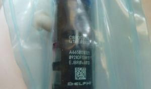 EJBR04601D Ejbr02601z Common Rail Injector for Ssangyong A6650170321