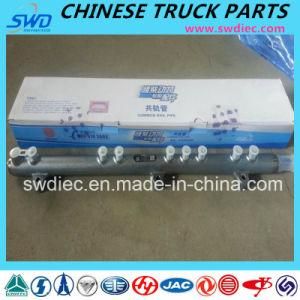 Common Rail Pipe for Weichai Diesel Engine Parts (612630080038)