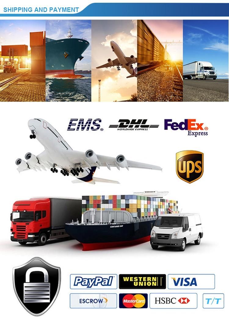 Common Rail Diesel Fuel Injector 095000-8933 095000-8932 095000-8931 095000-8930