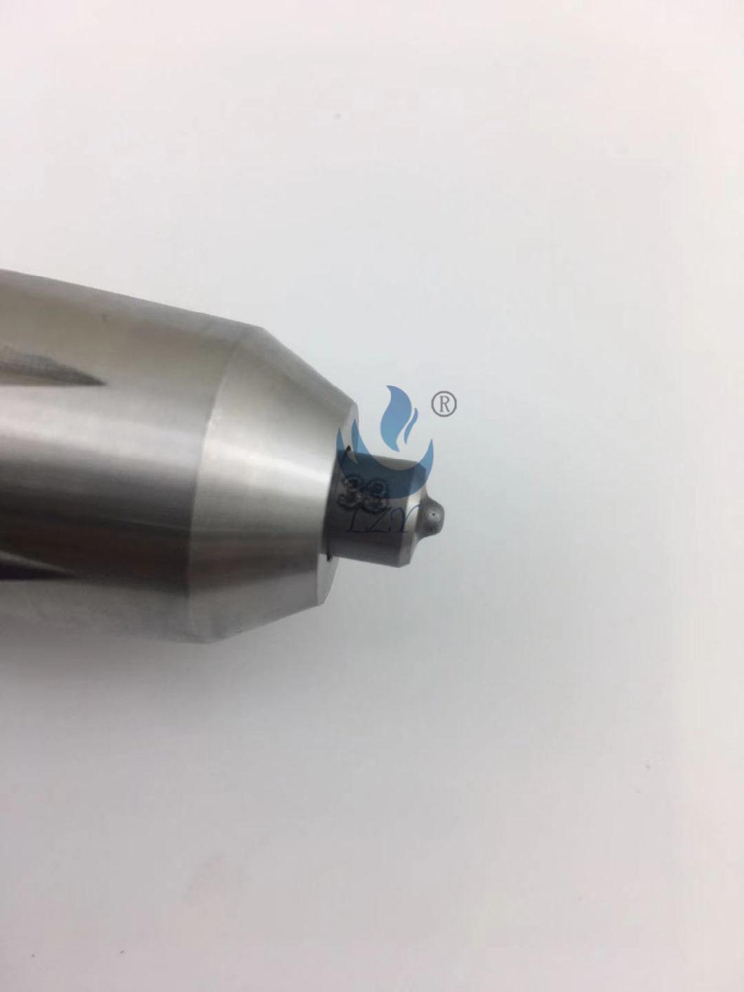 Lzy Diesel Engine Parts---Cummins M11 (4903319) Injector