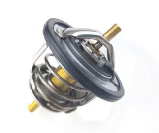 Engine Coolant Thermostat for All Car (OEM 8973007903)