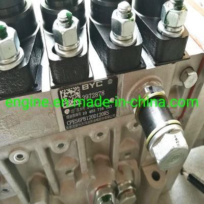 Diesel Engine 6CTA8.3-GM155 Fuel Injection Pump 3972878 4941011