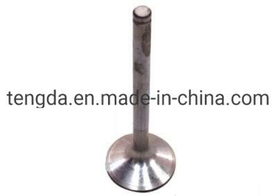 OEM Manufacturer Petrol Nitrided 4A9 Intake and Exhaust Engine Valve