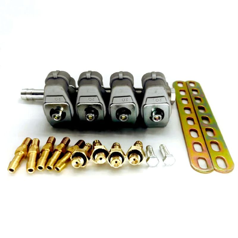 Llano Grey 3ohm 4 Cylinder CNG LPG Injector Rail Ln-Lig1 for Efi Carburetor System