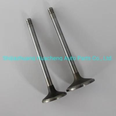 Auto Parts Intake &amp; Exhaust Valve for Deutz 52D