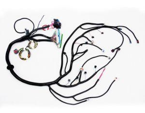 Ls3 Vortec Standalone Wiring Harness Drive by Wire 4L60e 4.8 5.3 6.0 Dbw 03-07