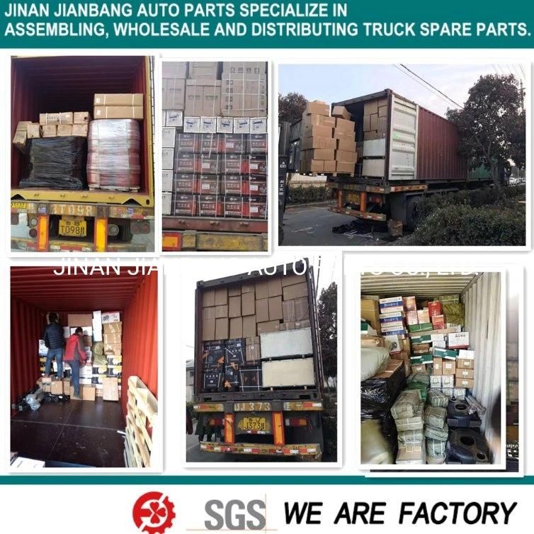HOWO Shacman FAW Foton Beiben Camc Dfm Truck Spare Parts Engine Parts Injection Pump
