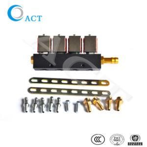 Car Auto Gas Kit Act L02 CNG Injection Rail