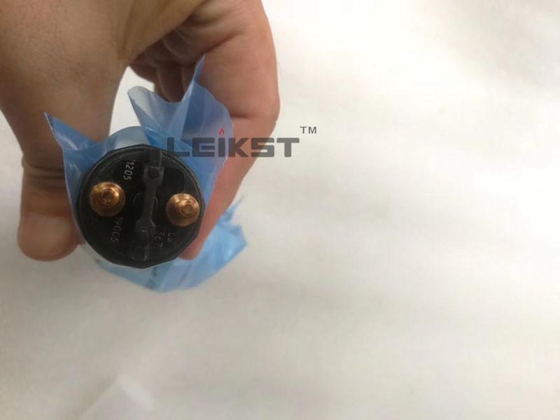 Leikst/Dcec Qsb Engine Fuel Injector and Fuel Injection