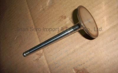 Genuine Sino Truck HOWO Spare Parts Intake Valve Vg1560051001 for Truck Engine Parts