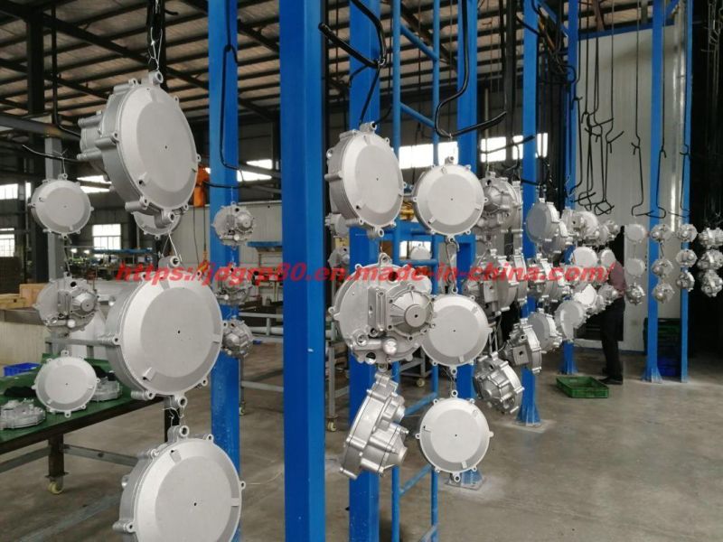 CNG LPG Reducer Regulator Conversion Kits for Car