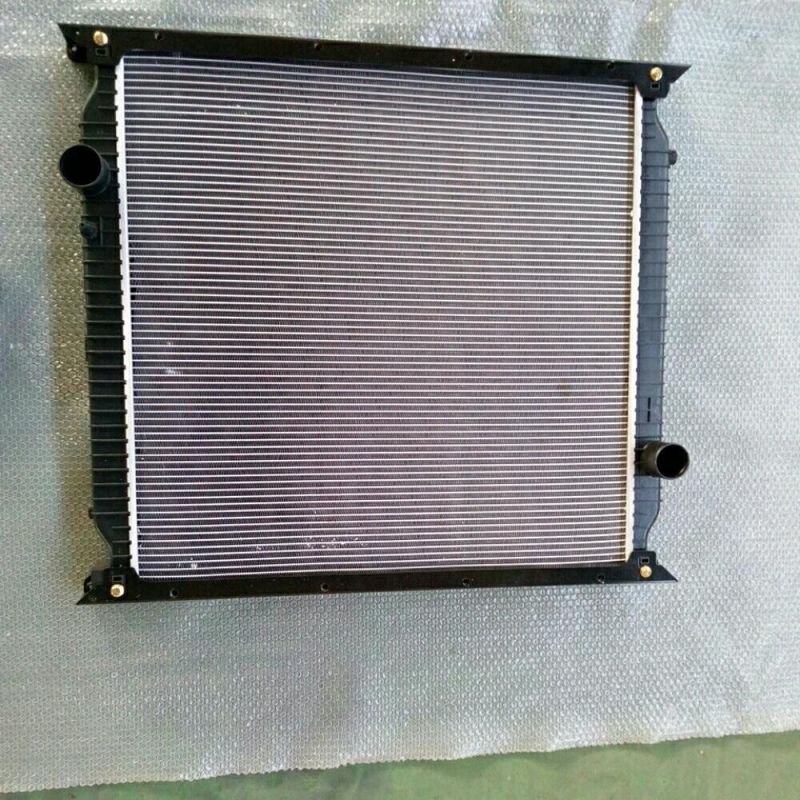 Radiator Wg9725530150 for Sinotruck HOWO Iron and Plastic Little Horse Power