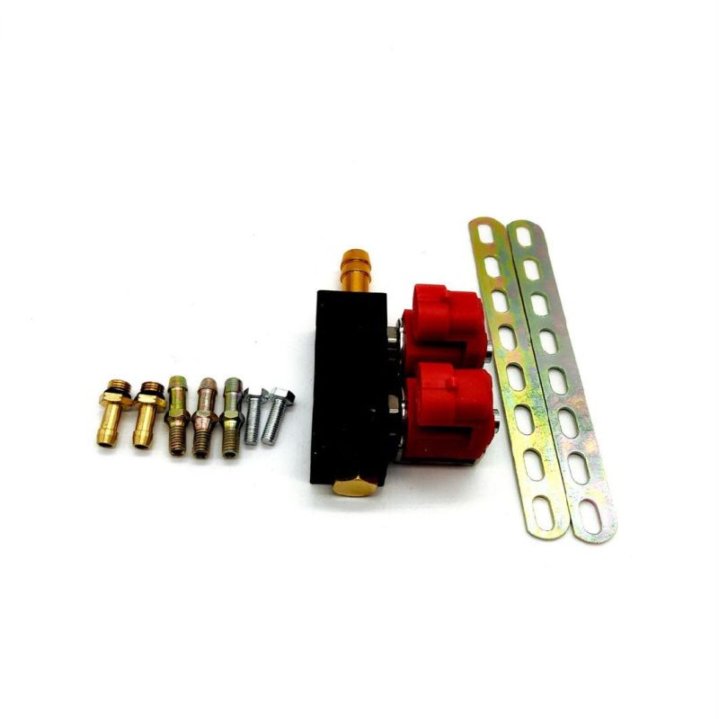 Llano Red 2 Cylinder CNG LPG Injector Rail Ln-Lvtk02 for Electronic Fuel Injection System