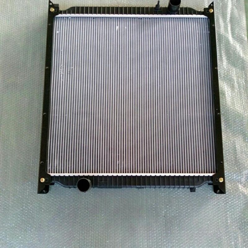Radiator Wg9725530150 for Sinotruck HOWO Iron and Plastic Little Horse Power