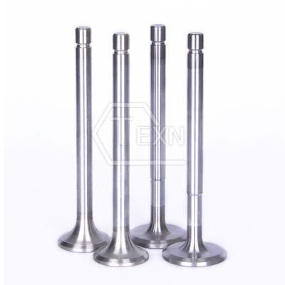 Engine Valve Exhaust Valve 13202-31m00/13202-61A00/13202-69A00 for Nissan E16