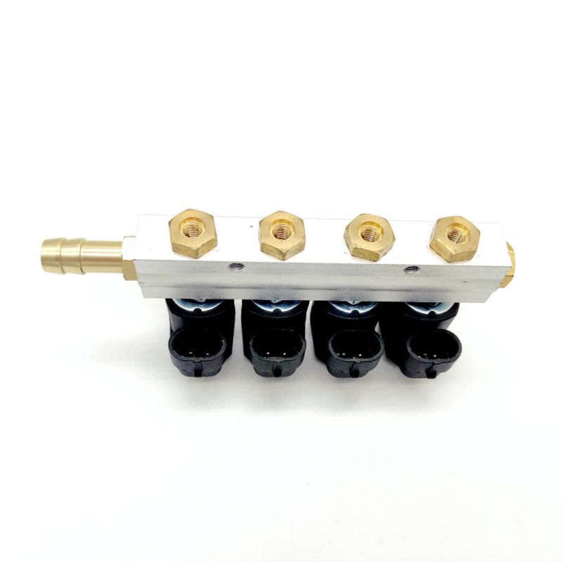 Llano LPG CNG Rail Injector Ln-Acw04 for 4 Cylinder Sequential Fuel Gas Injection Systems