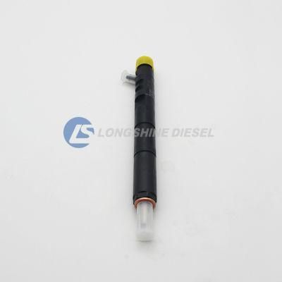 Common Rail Injector R04101d Ejbr04101d for Delphi
