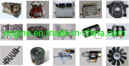 Ribbed Belt 3911557 3288768 3827697 3935335 3807363 3903091 3911557