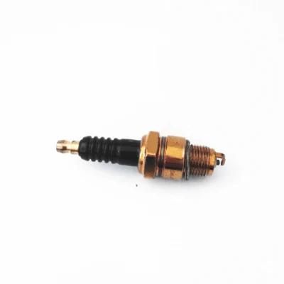 Auto Parts Car Parts Spare Parts Spark Plugs