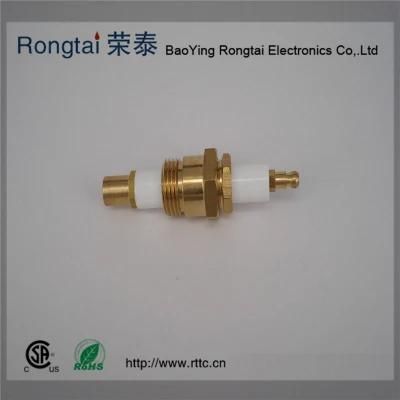 Ceramic Ignition Electrode for Burner