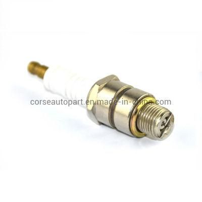 High Quality 479-7702 Industrial Automobile Spark Plug 8692071 30637308