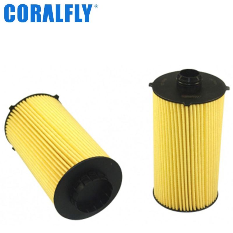 Coralfly Oil Filter 504179764 2996570 for Case/New Holland/Iveco Filter