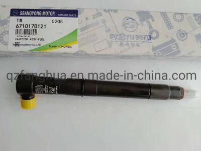 4PCS Delphi Crdi Diesel Fuel Injector 6640170221 for Ssangyong Rexton Euro A6640170222