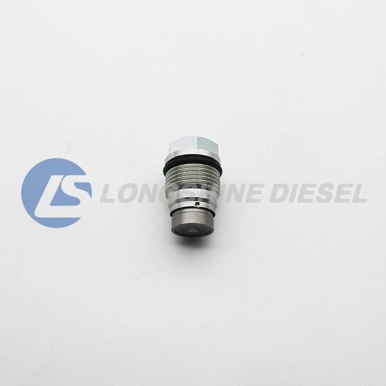 Common Rail Pressure Relief Valve 1110010022