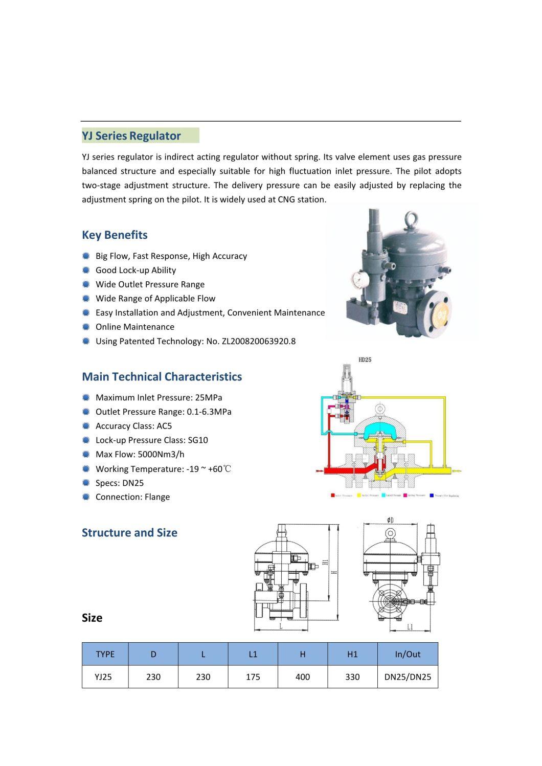 Natural Gas CNG Pressure Regulator Gas Reducer
