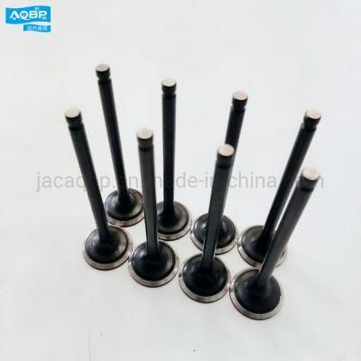 Car Parts Exhaust Valve for JAC Refine Rein