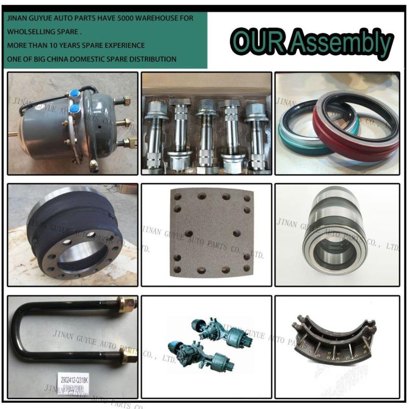 Hand Oil Pump for JAC Yuejin Jmc Foton DFAC Jbc Forland Shifeng Parts