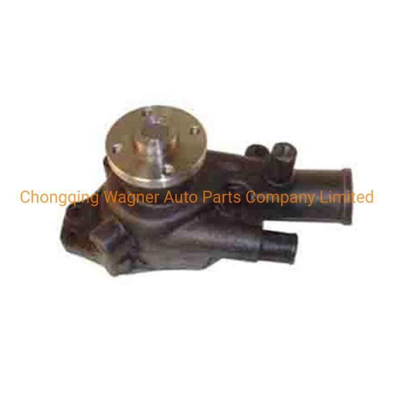 Auxiliary Universal Car D16mm12V Water Pump for Isuzu