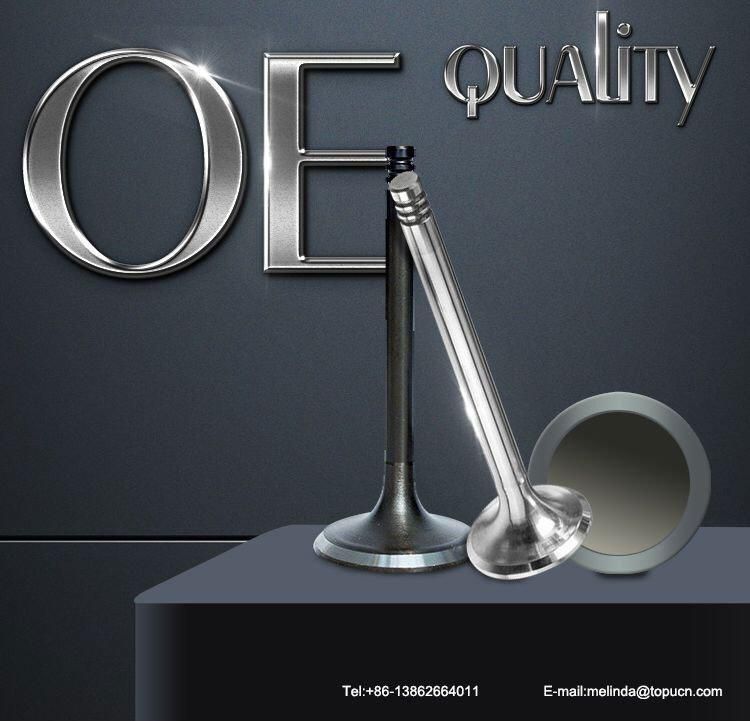 OE Quality Auto Engine Valve for Kangoo Express 1.9d-F8q Intake Engine Valve